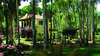 Is Morus Relais 